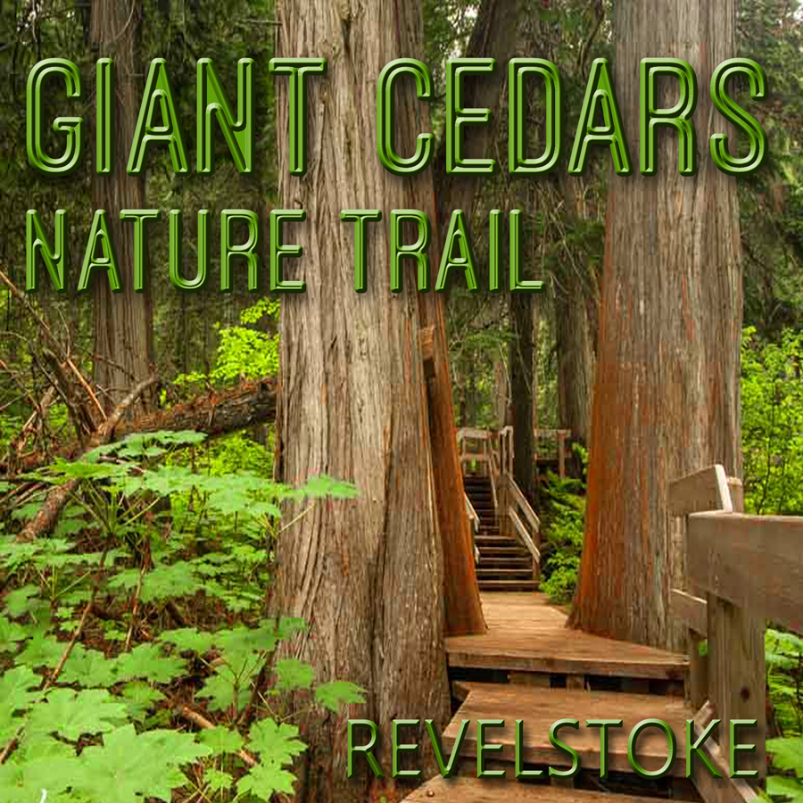 G2 - Giant Cedars Nature Trail